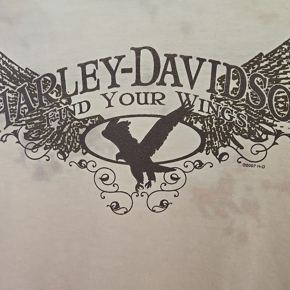 Harley-Davidson Beige Flame Graphic Shirt - Picture 10 of 10